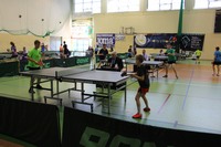 Indywidualne Mistrzostwa Śląska LZS w tenisie stołowym